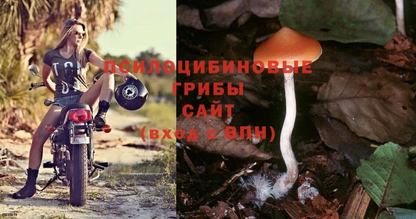 ALPHA PVP Зерноград