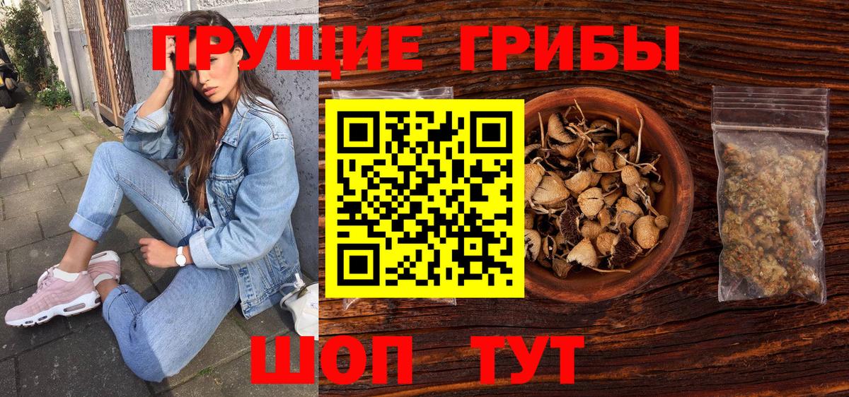 Чита  Псилоцибиновые грибы MAGIC MUSHROOMS  Вход с VPN  Псилоцибиновые грибы GOLDEN TEACHER 