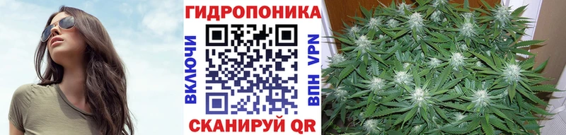 Купить  Чита  Канабис White Widow 
